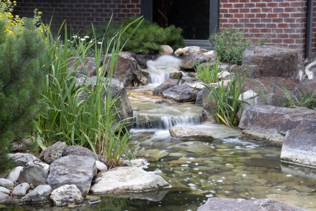 Backyard stream with small waterfalls over boulders, edged with grasses