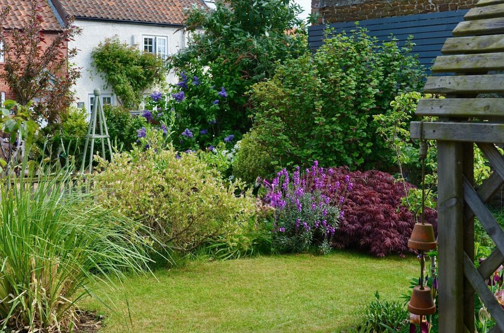 A lawn edged by a mixed border of shrubs and purple flowers in front of an English cottage