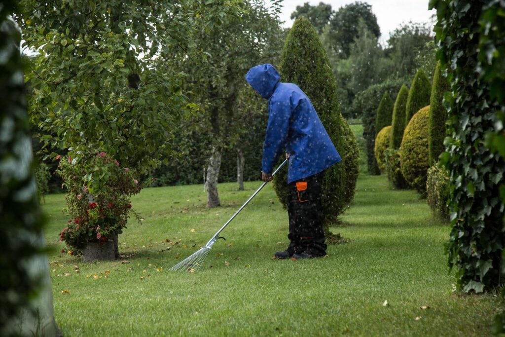 Gardener in a rain jacket raking leaves on a lawn