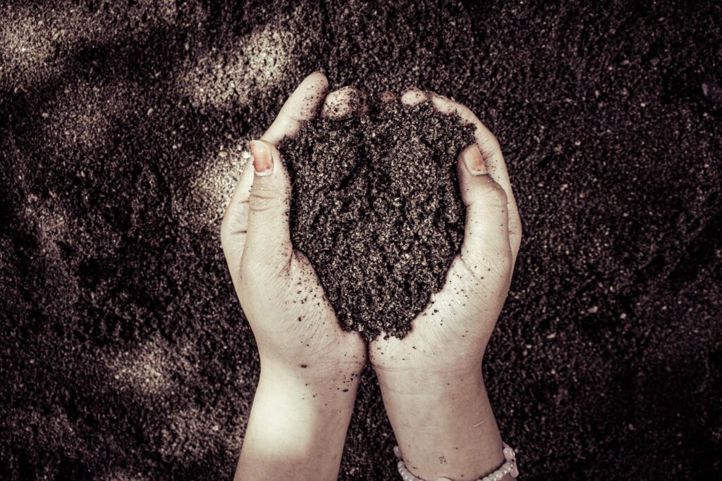 Two hands holding a scoop of dark garden soil