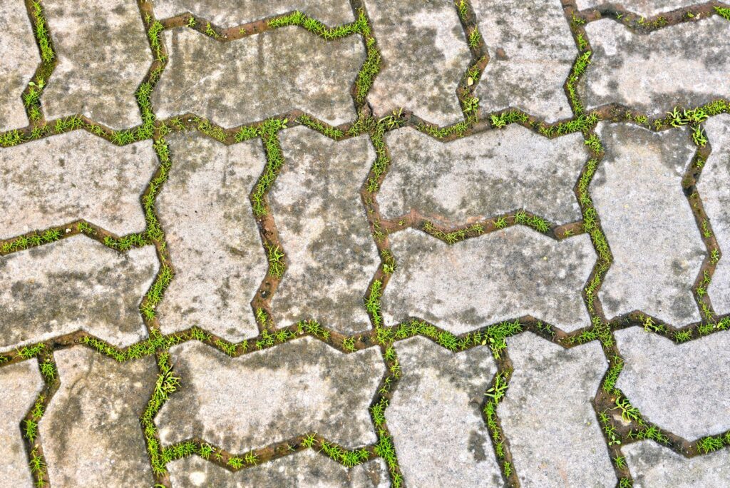 Interlocking concrete pavers with plants growing in the joints