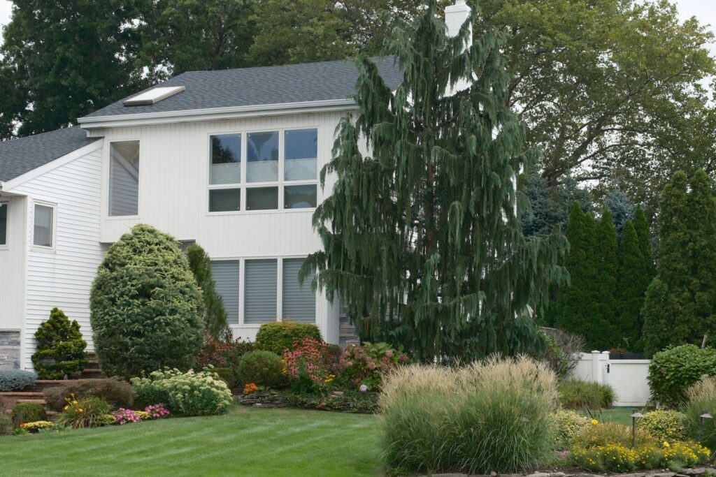 Front yard with layered evergreens, flowering shrubs, and ornamental grasses