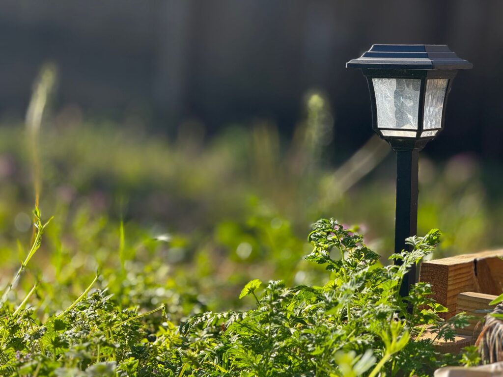Solar path light standing among low garden plants