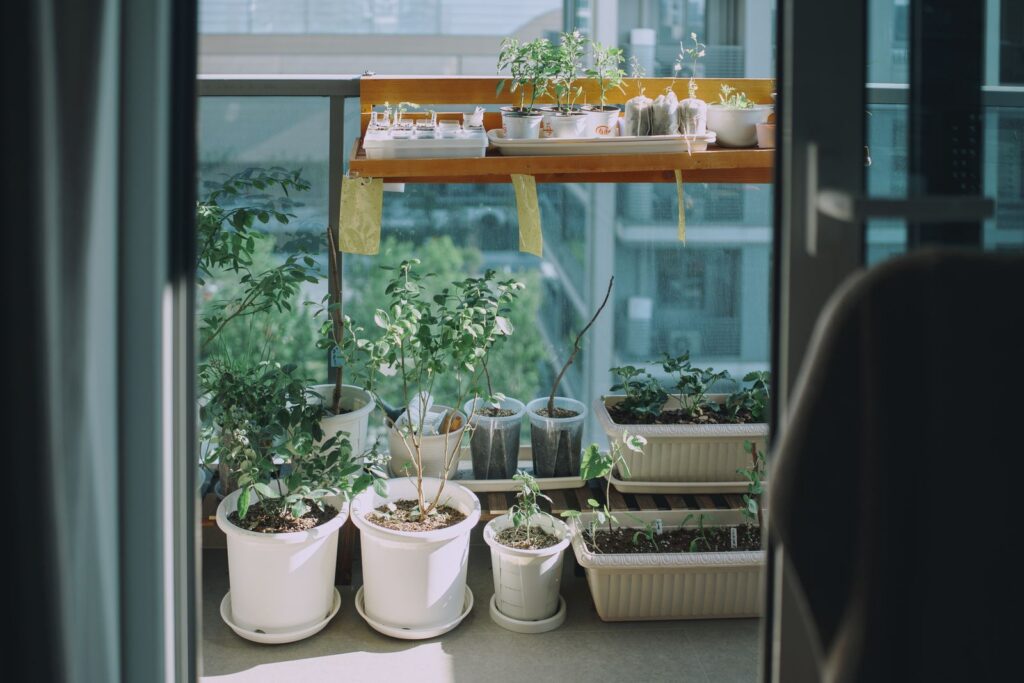 Herbs and small plants in pots on a sunny balcony