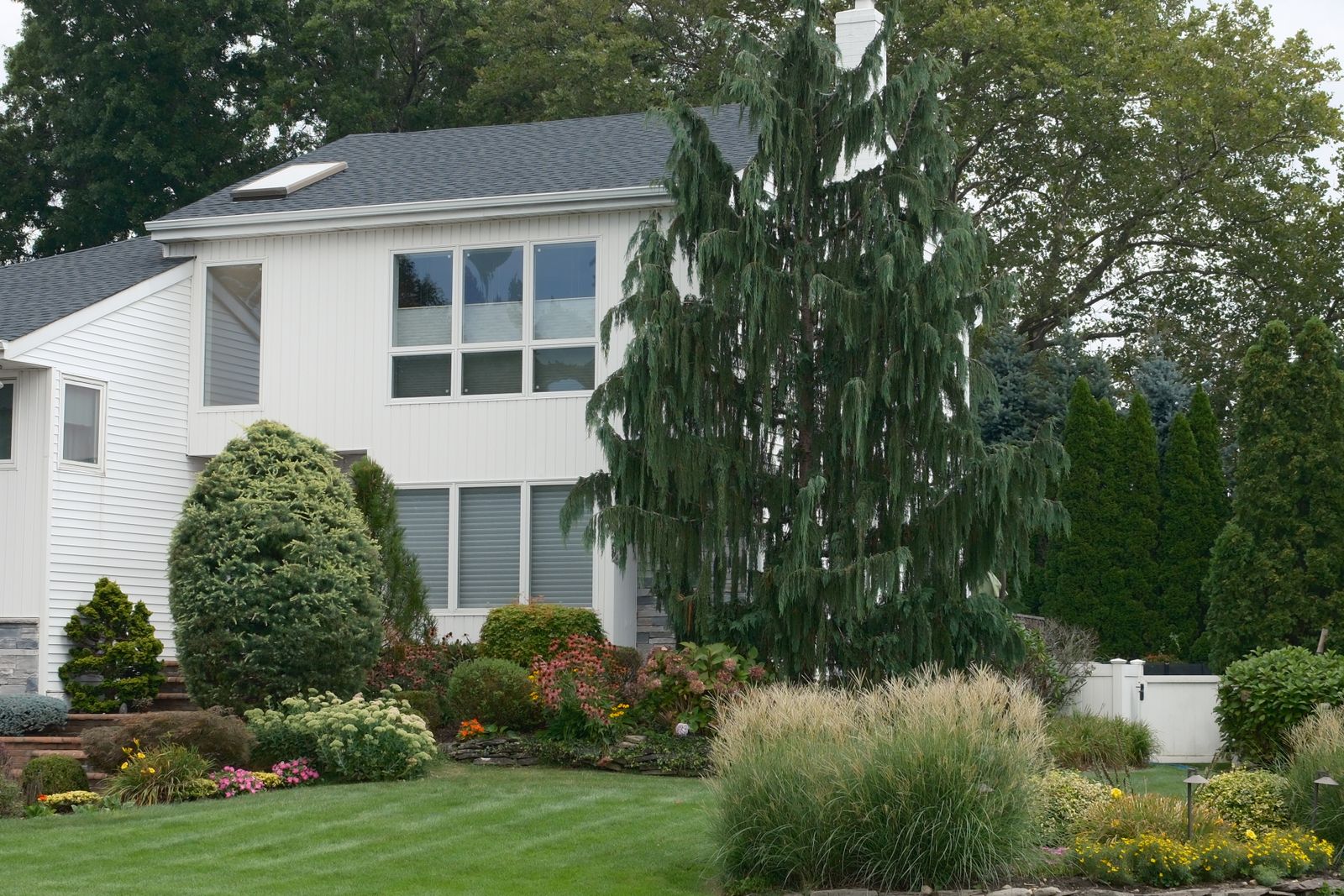 A front yard with mulched beds of shrubs, grasses, and perennials beside a simple lawn