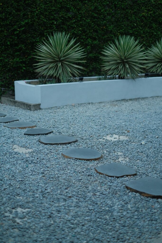 Round stepping stones set in gravel beside a planter of agave