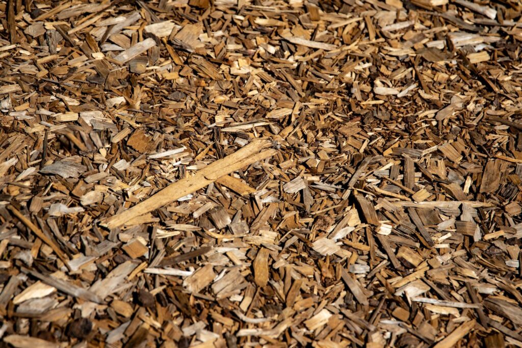 Close-up of shredded bark mulch