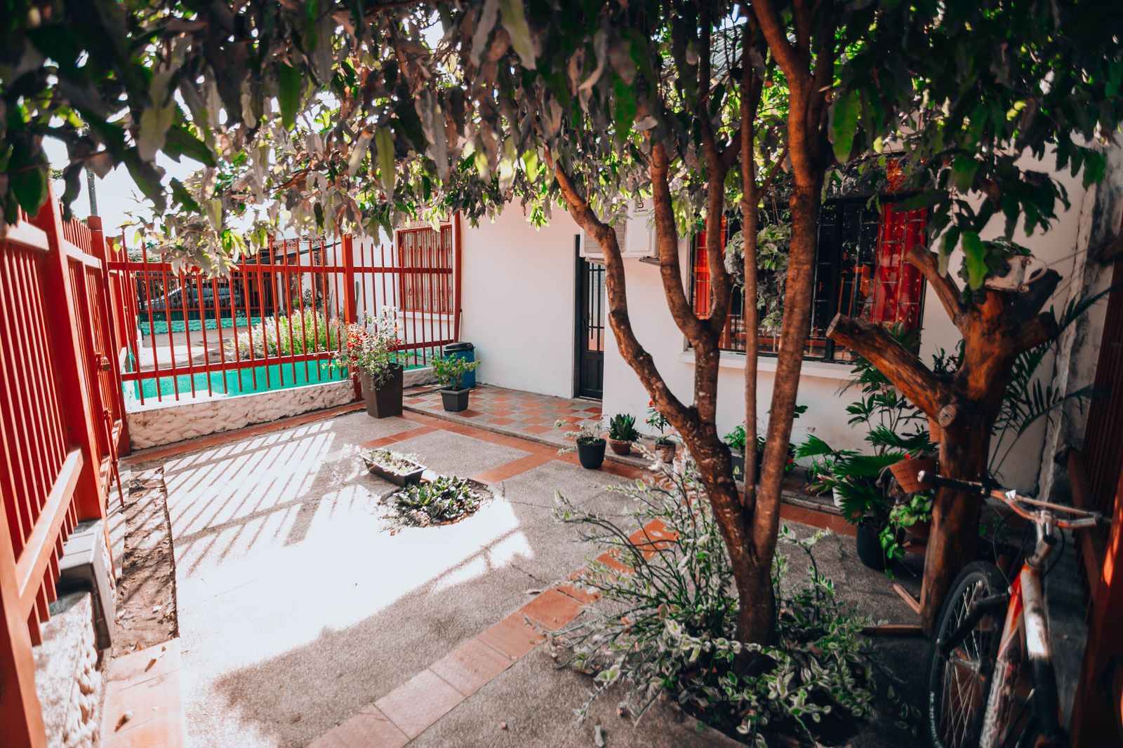 A small courtyard garden with potted plants, trees and a red fence