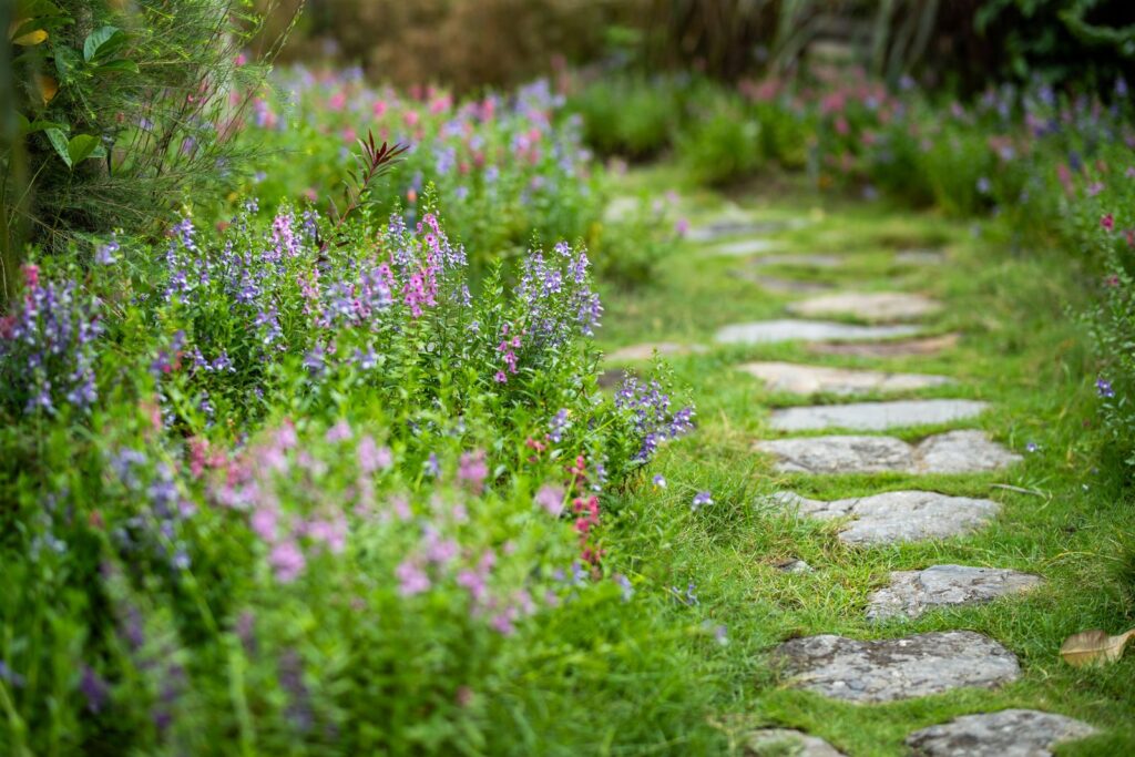 Stepping stones leading through a lawn past flowering perennials