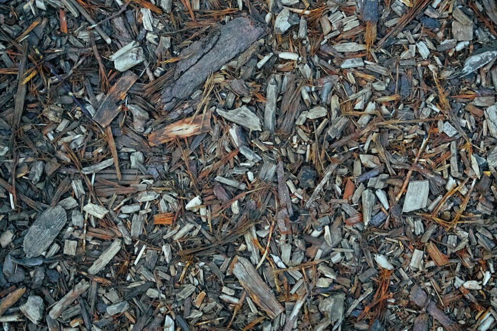 Close-up of shredded wood and bark mulch