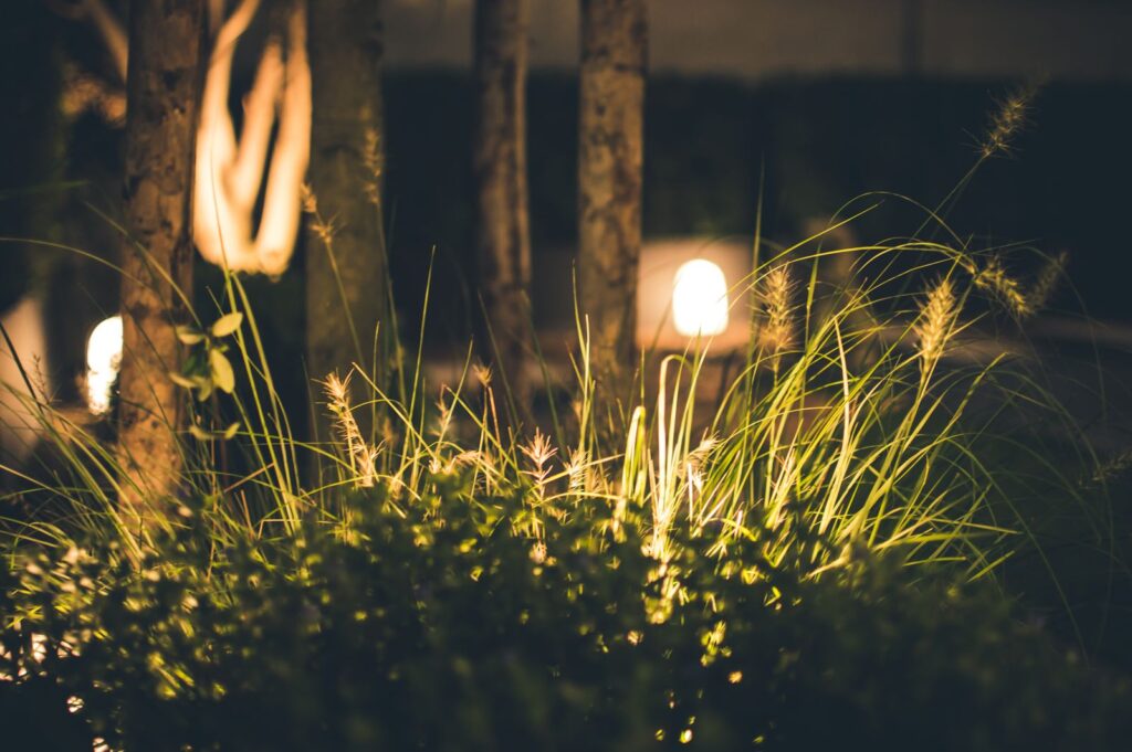 Warm white garden lights glowing among ornamental grasses at night