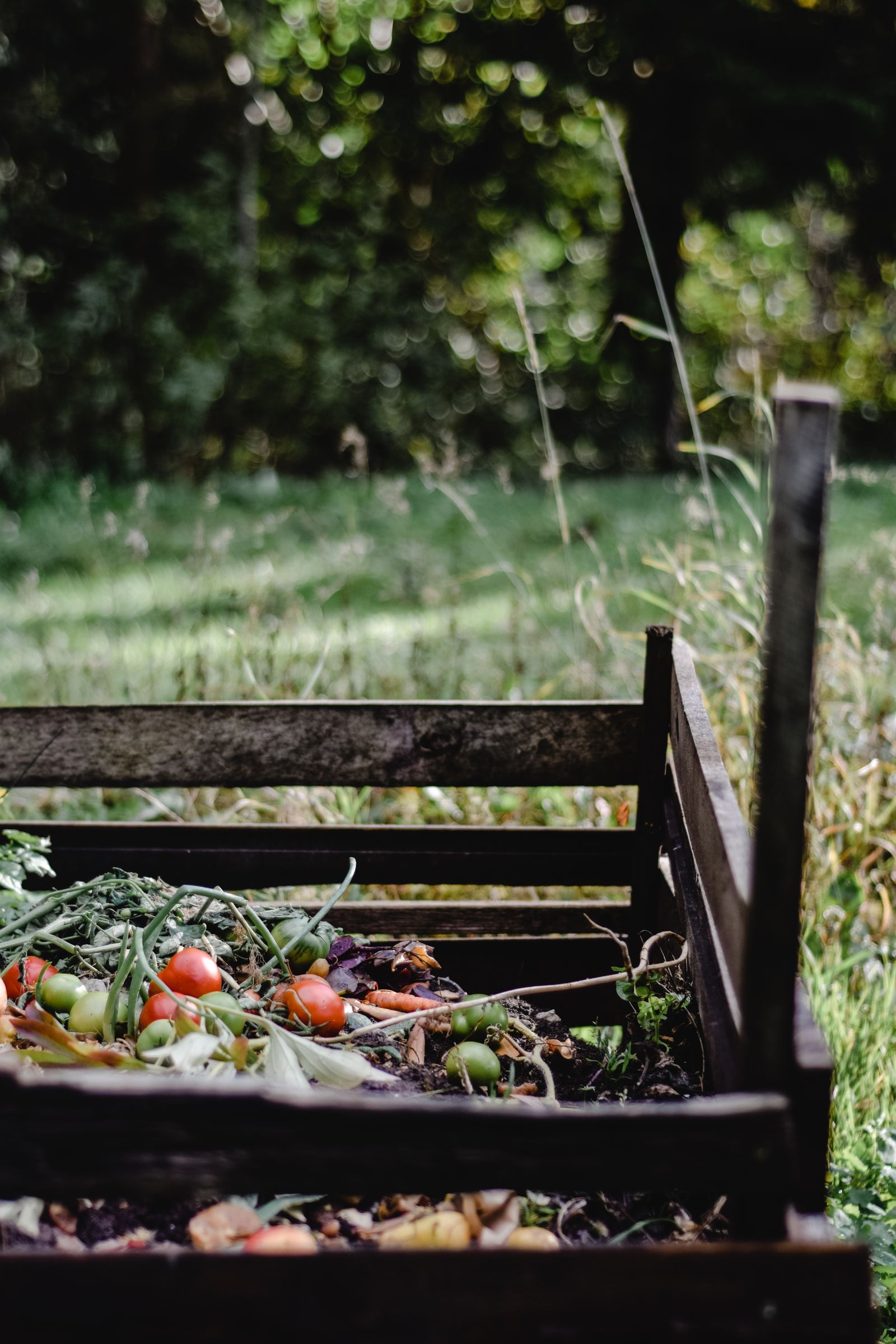 A wooden slatted compost bin holding vegetable scraps in a garden