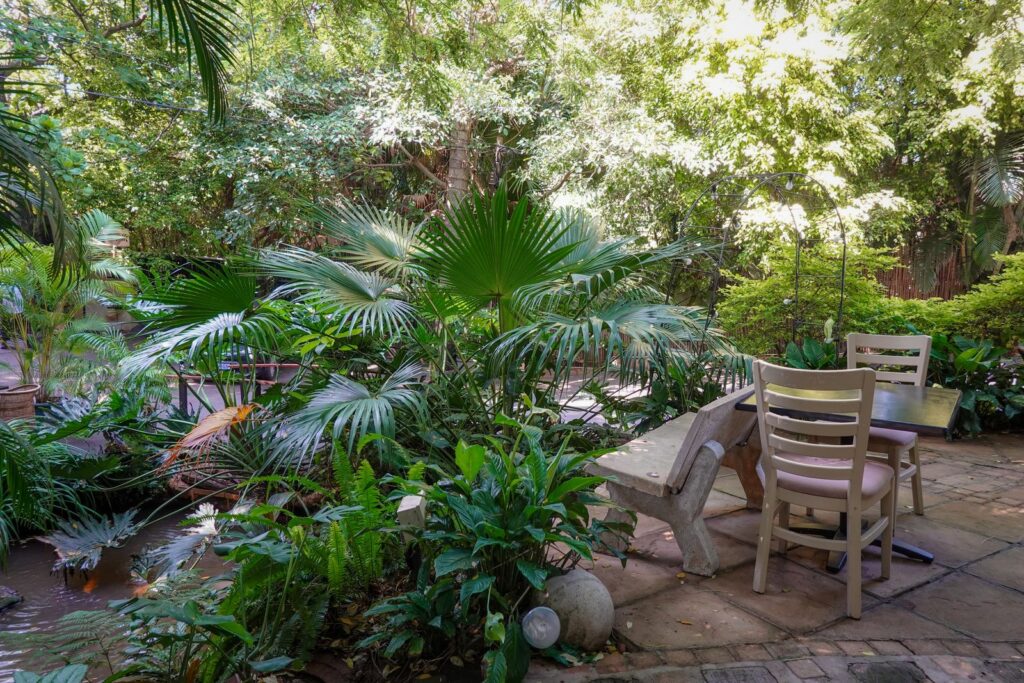 Fan palms, ferns, and shrubs planted in layers around a small garden table