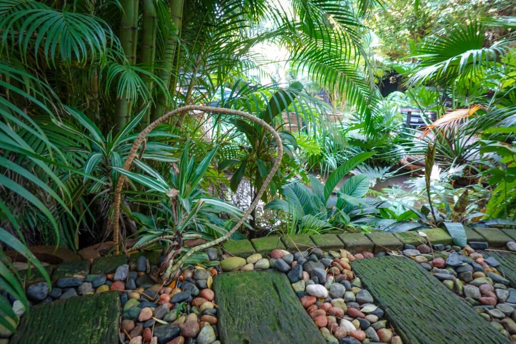 A stone and timber path running through dense tropical planting