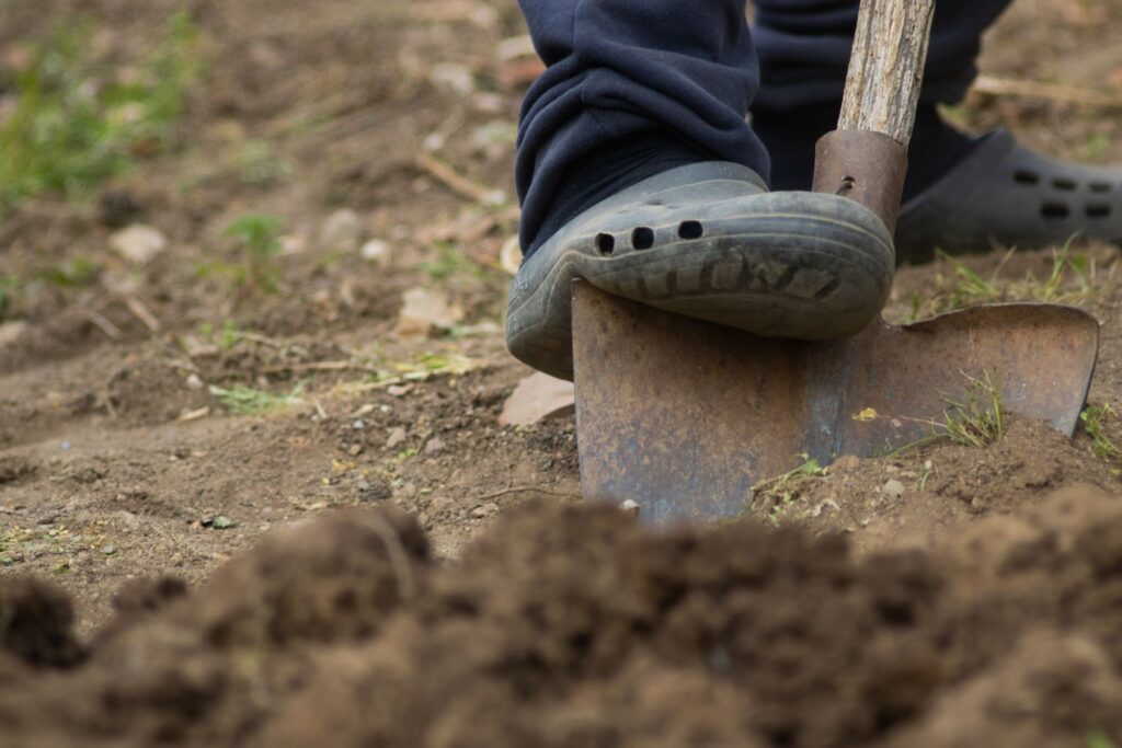 A gardener pressing a shovel into garden soil with one foot