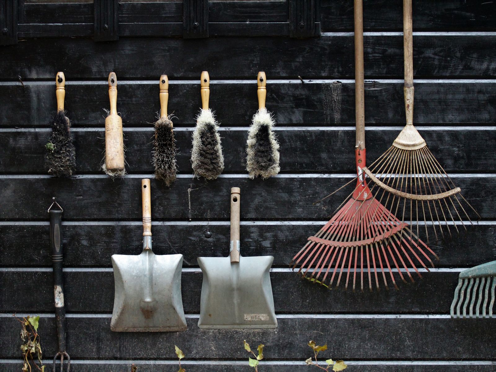 Shovels, rakes, and brushes hanging in a row on a dark wooden wall
