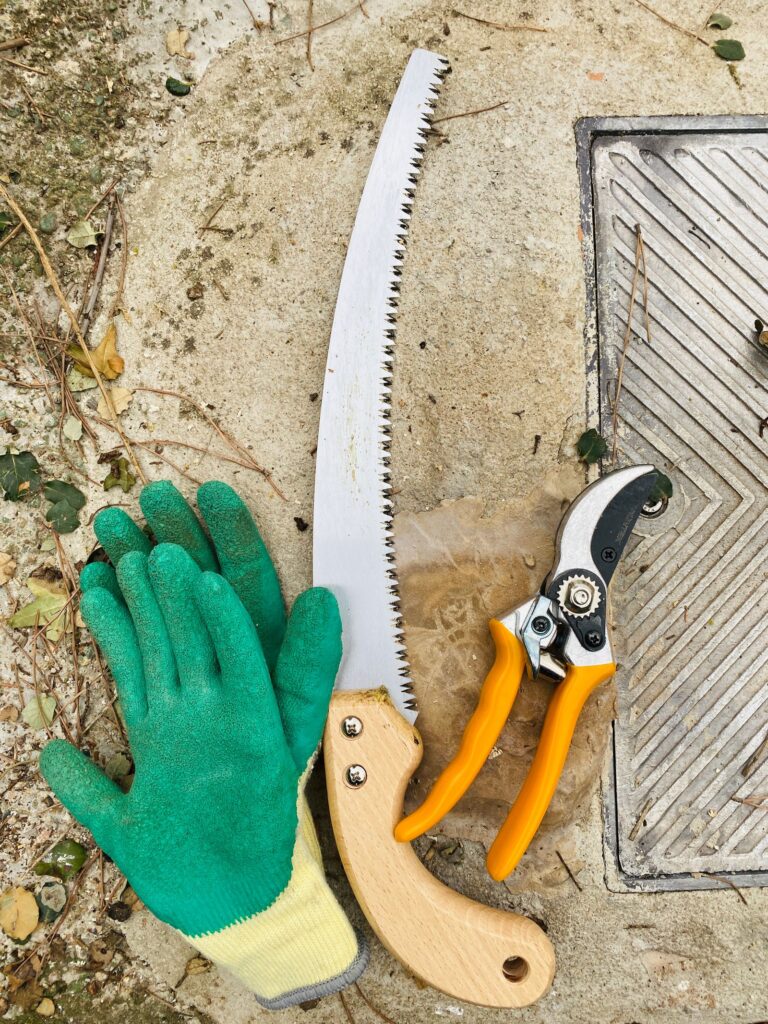 Bypass hand pruners, a folding pruning saw, and gardening gloves on stone