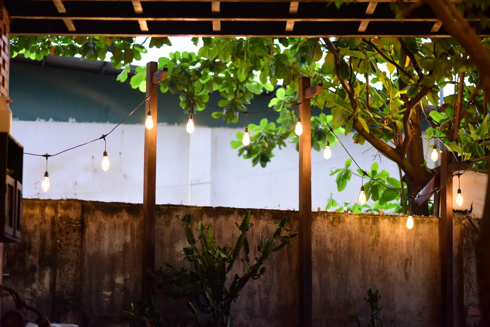 A backyard patio under a pergola strung with glowing outdoor lights