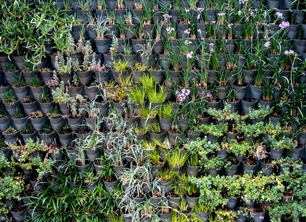 A vertical garden of small potted plants mounted in rows on a wall