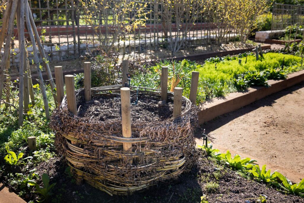 Woven wicker compost bin in a vegetable garden